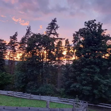 Haus Elise Apartment *