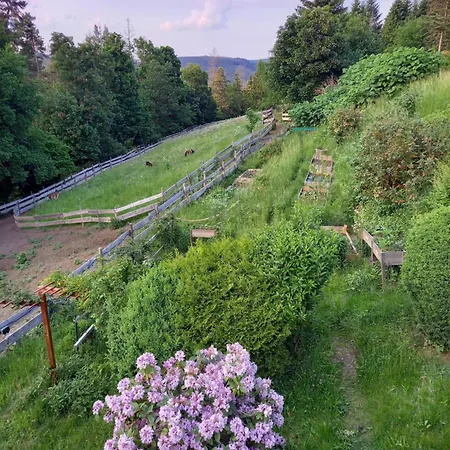 Haus Elise * Saalfeld Saale