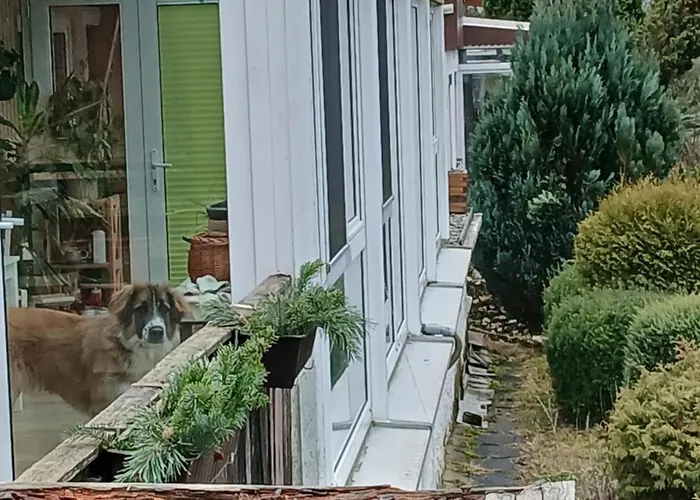 Apartment Haus Elise Saalfeld Saale