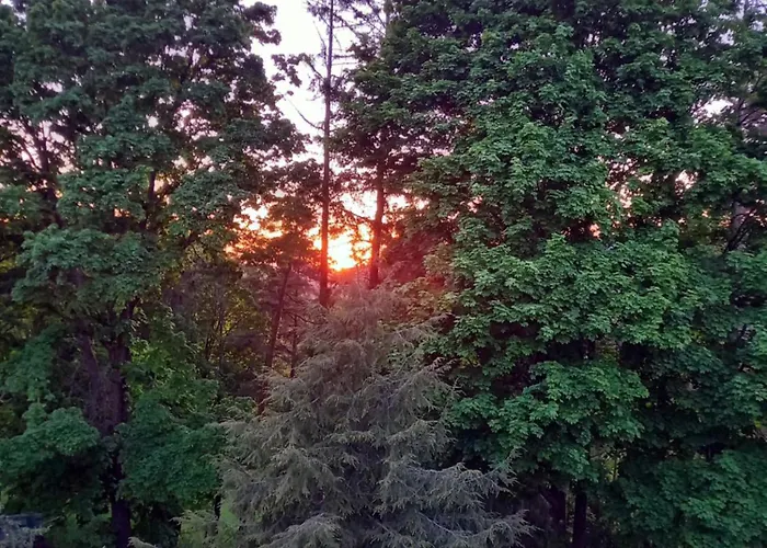 Appartement Haus Elise Saalfeld Saale