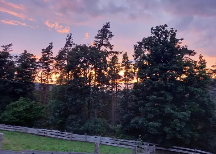 Haus Elise Apartment *