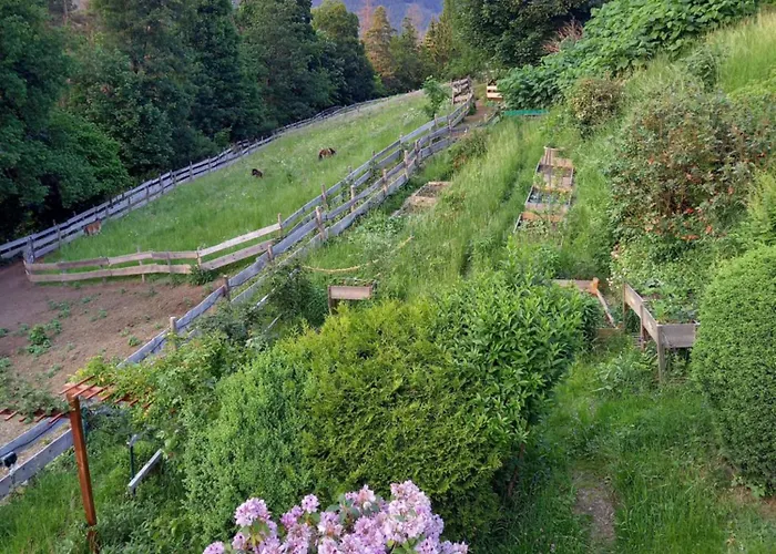 Haus Elise * Saalfeld Saale